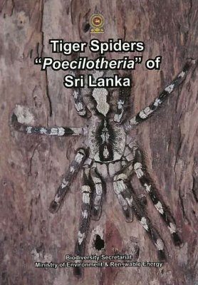 Tiger Spiders "Poecilotheria" of Sri Lanka