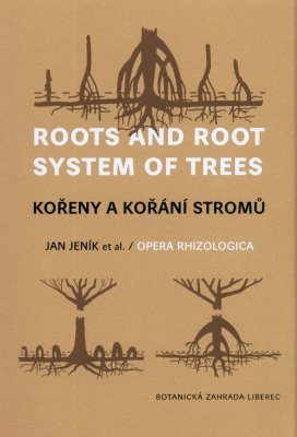 Roots and Root System of Trees / Kořeny a Kořání Stromů