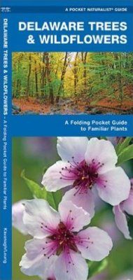 Delaware Trees & Wildflowers