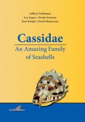 Cassidae: An Amazing Family of Seashells