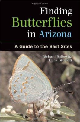 Finding Butterflies in Arizona