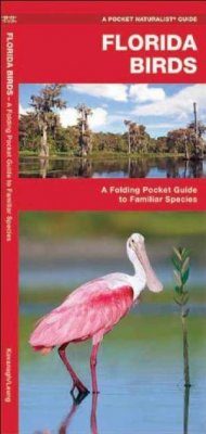 Florida Birds