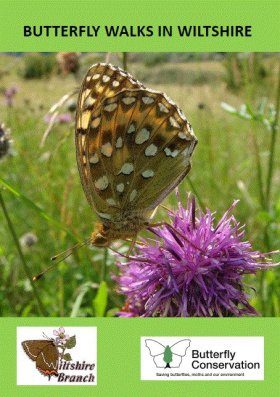 Butterfly Walks in Wiltshire