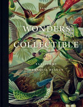 Wonders are Collectible – Taxidermy