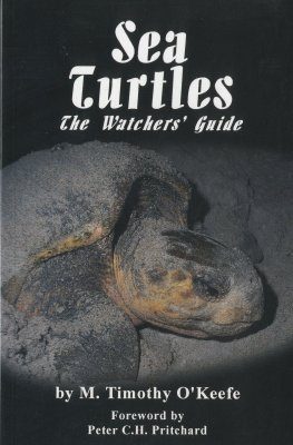 Sea Turtles