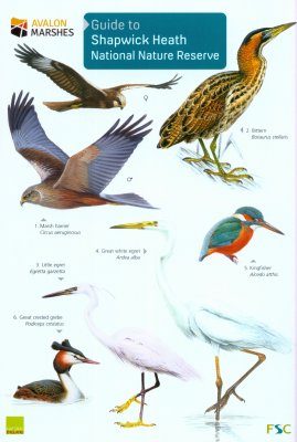 Guide to Shapwick Heath National Nature Reserve