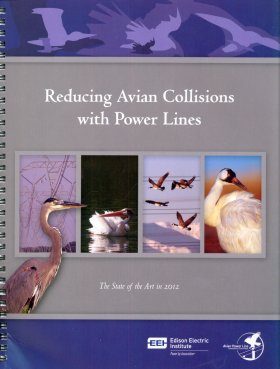Reducing Avian Collisions with Power Lines