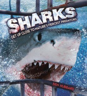 Sharks: Get Up Close to Nature's Fiercest Predators
