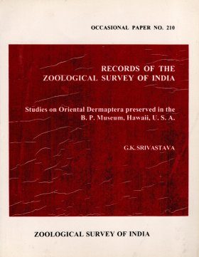 Studies on Oriental Dermaptera Preserved in the B.P. Museum, Hawaii, U.S.A.