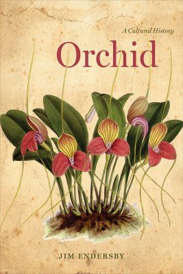 Orchid: A Cultural History
