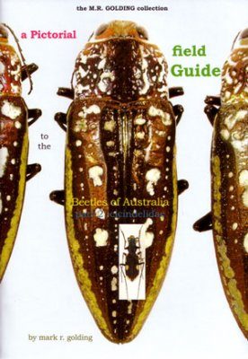 A Pictorial Field Guide to the Beetles of Australia: Part 2, Cicindelidae