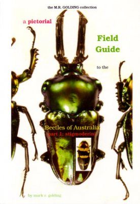 A Pictorial Field Guide to the Beetles of Australia: Part 1, Stigmoderini