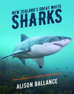 New Zealand's Great White Shark