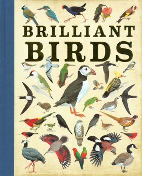 Brilliant Birds