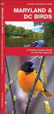 Maryland & DC Birds