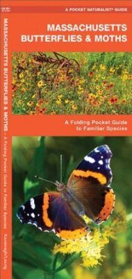 Massachusetts Butterflies & Moths