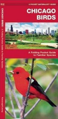 Chicago Birds