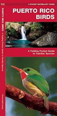 Puerto Rico Birds