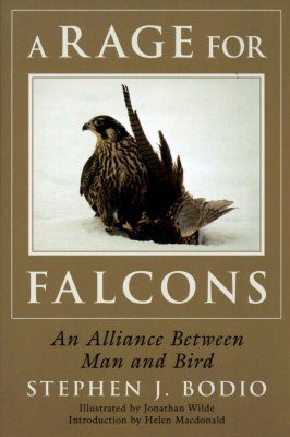 A Rage for Falcons