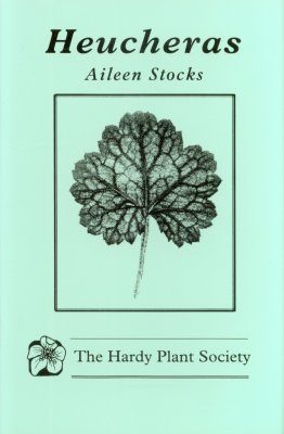 Heucheras