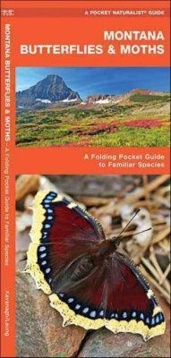 Montana Butterflies & Moths