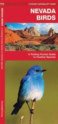 Nevada Birds