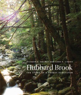 Hubbard Brook
