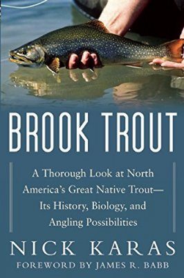 Brook Trout
