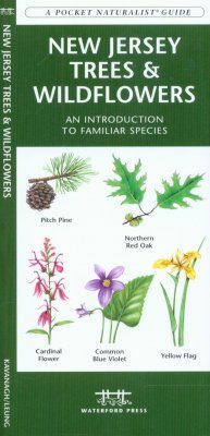New Jersey Trees & Wildflowers