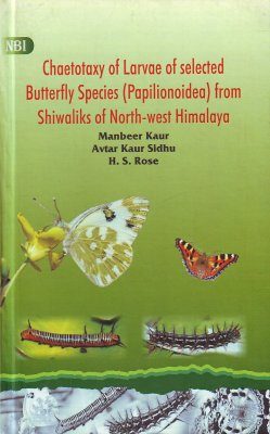 Chaetotaxy of Larvae of Selected Butterfly Species (Papilionoidea) from Shiwaliks of North-West Himalaya