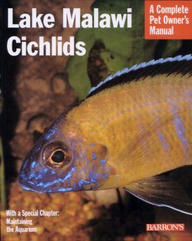 Lake Malawi Cichlids