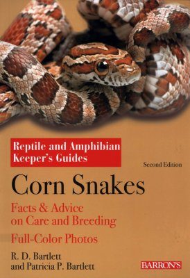 Corn Snakes