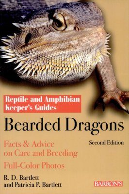 Bearded Dragons