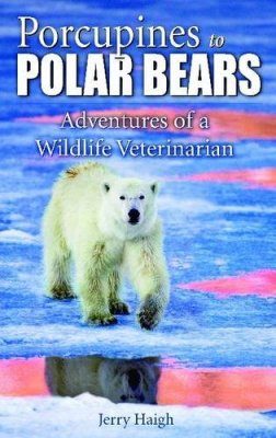 Porcupines to Polar Bears