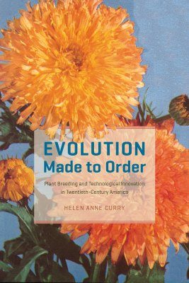 Evolution Made to Order