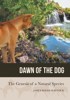 Dawn of the Dog