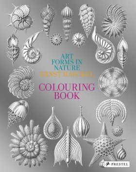 Art Forms in Nature