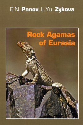 Rock Agamas of Eurasia