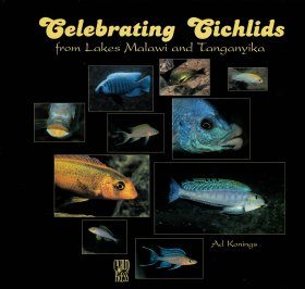 Celebrating Cichlids of Lakes Malawi and Tanganyika