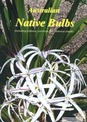 Australian Native Bulbs