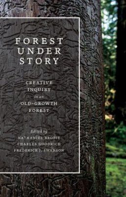 Forest Under Story