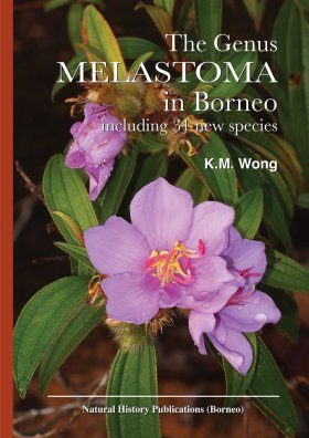 The Genus Melastoma in Borneo