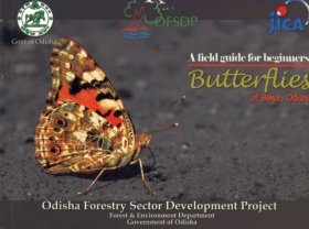 Butterflies of Bonai, Odisha