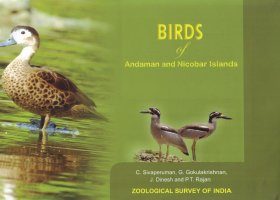Birds of Andaman and Nicobar Islands