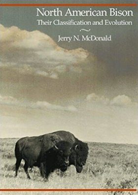 North American Bison