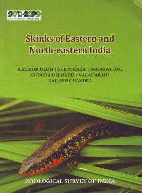 Skinks of Eastern and North-Eastern India