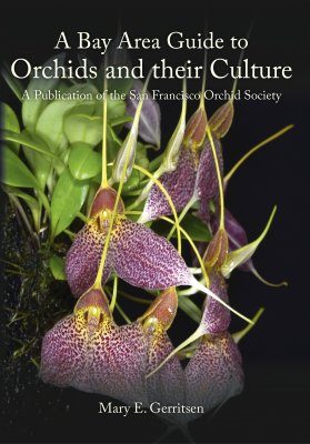 A Bay Area Guide to Orchids and Their Culture