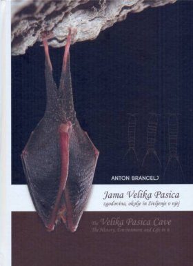 The Velika Pasica Cave: The History, Environment and Life in It / Jama Velika Pasica: Zgodovina, Okolje in Življenje v Njej