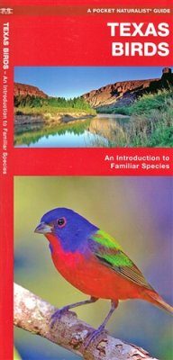 Texas Birds