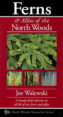 Ferns, Horsetails & Clubmosses of the North Woods